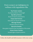 French Vanilla 100% Plant Protein Powder