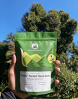 Protein-Packed Vijaya Seeds