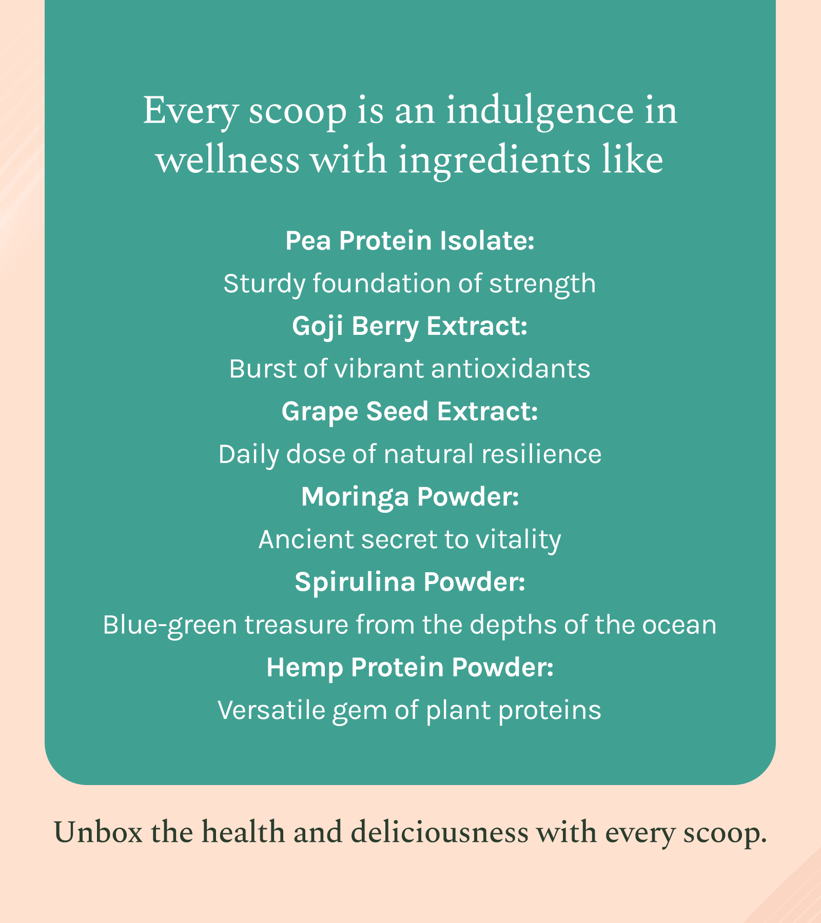 French Vanilla 100% Plant Protein Powder