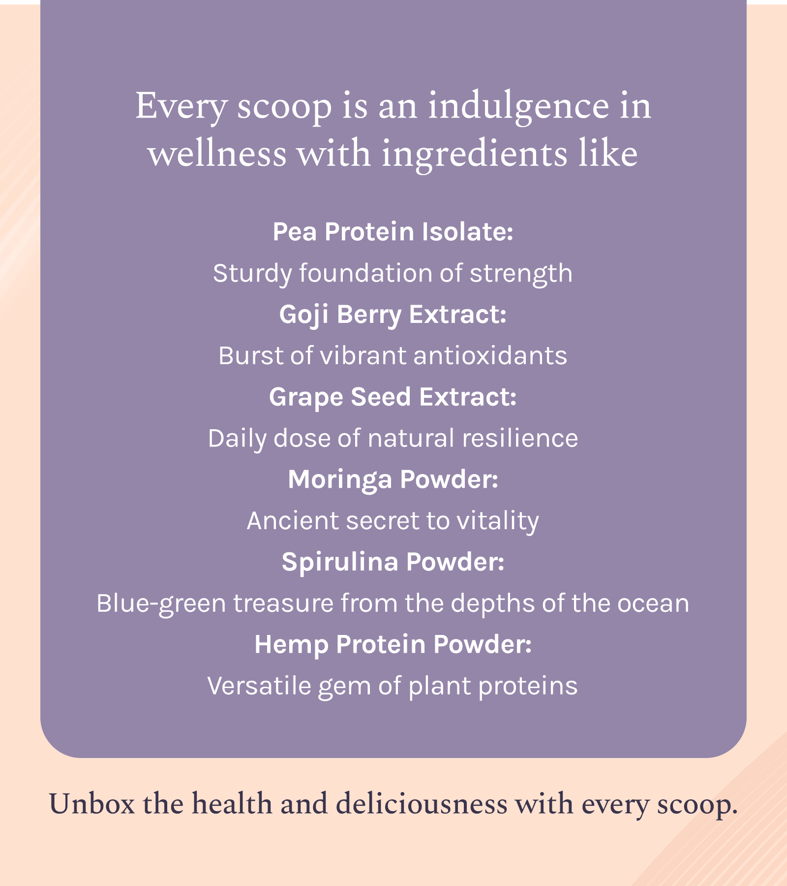 Chocolate Hazelnut 100% Plant Protein Powder